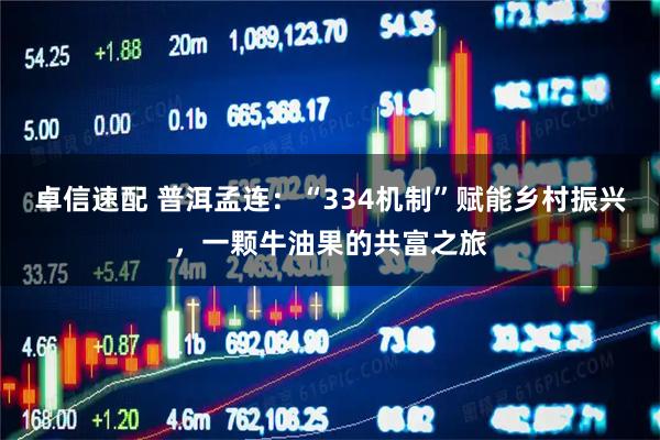 卓信速配 普洱孟连：“334机制”赋能乡村振兴，一颗牛油果的共富之旅