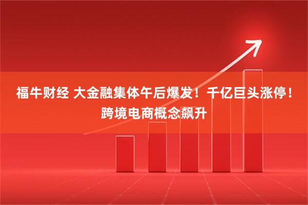 福牛财经 大金融集体午后爆发！千亿巨头涨停！跨境电商概念飙升