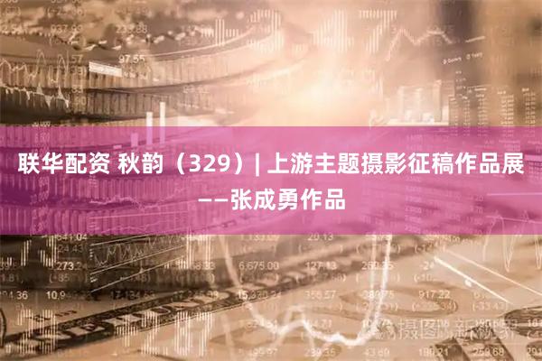联华配资 秋韵（329）| 上游主题摄影征稿作品展——张成勇作品