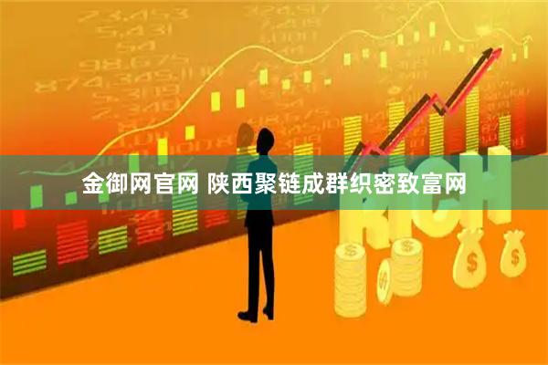 金御网官网 陕西聚链成群织密致富网