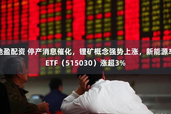 驰盈配资 停产消息催化,锂矿概念强势上涨,新能源车ETF(515030)涨超3%