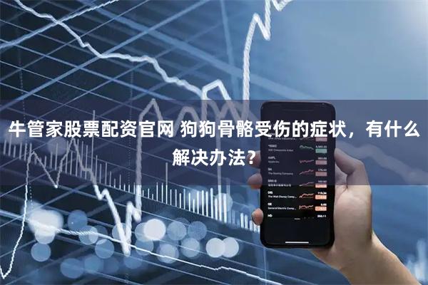 牛管家股票配资官网 狗狗骨骼受伤的症状,有什么解决办法?