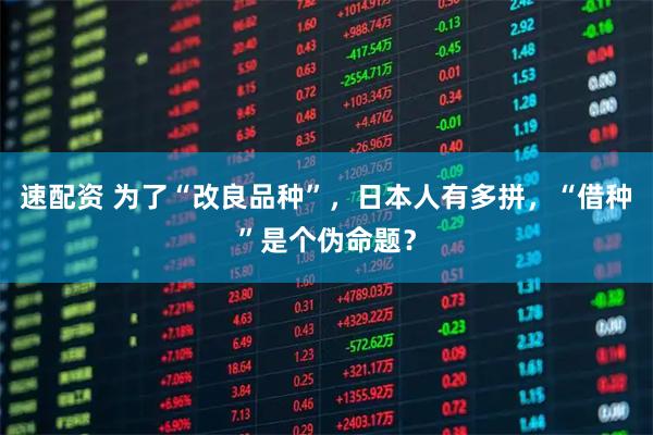 速配资 为了“改良品种”，日本人有多拼，“借种”是个伪命题？