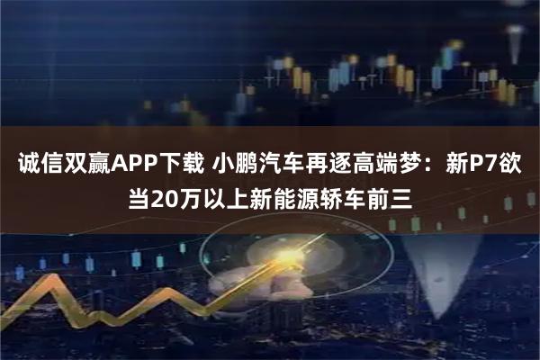 诚信双赢APP下载 小鹏汽车再逐高端梦:新P7欲当20万以上新能源轿车前三