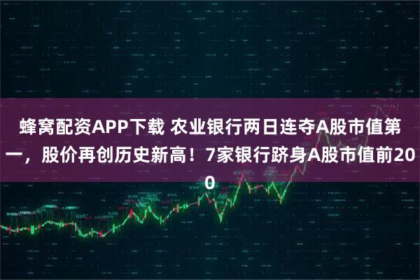 蜂窝配资APP下载 农业银行两日连夺A股市值第一,股价再创历史新高!7家银行跻身A股市值前20